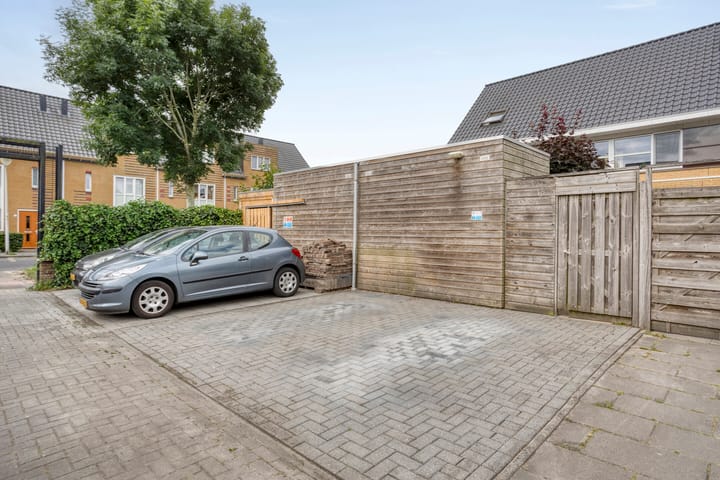 Foto 21 van Gele Zee 4