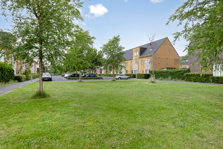 Foto 27 van Gele Zee 4