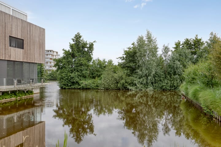 Foto 29 van Gele Zee 4