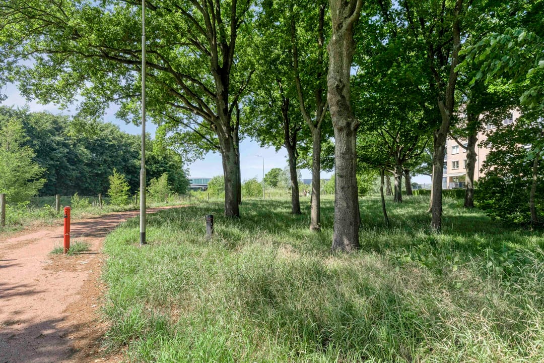 Photo 32 of Turfvaartstraat 18