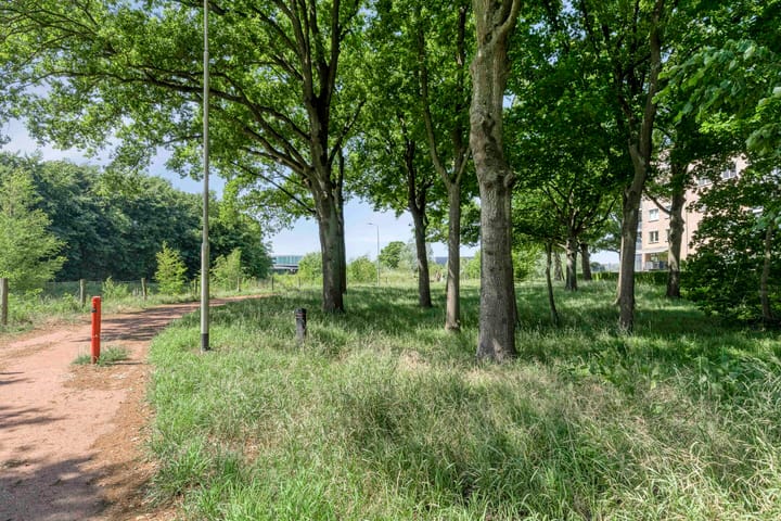 Foto 32 van Turfvaartstraat 18