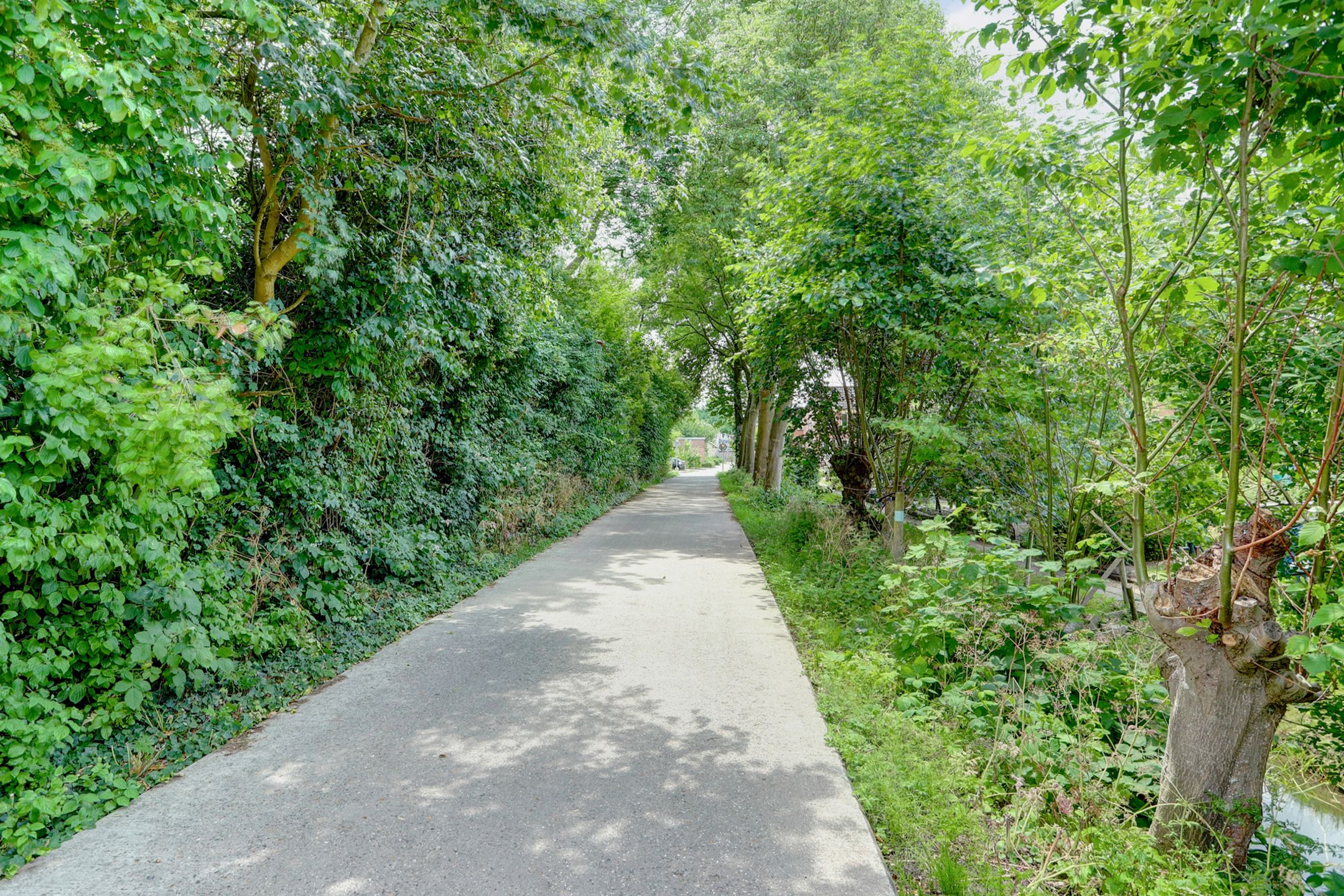 Foto 33 van Nedereindseweg 123