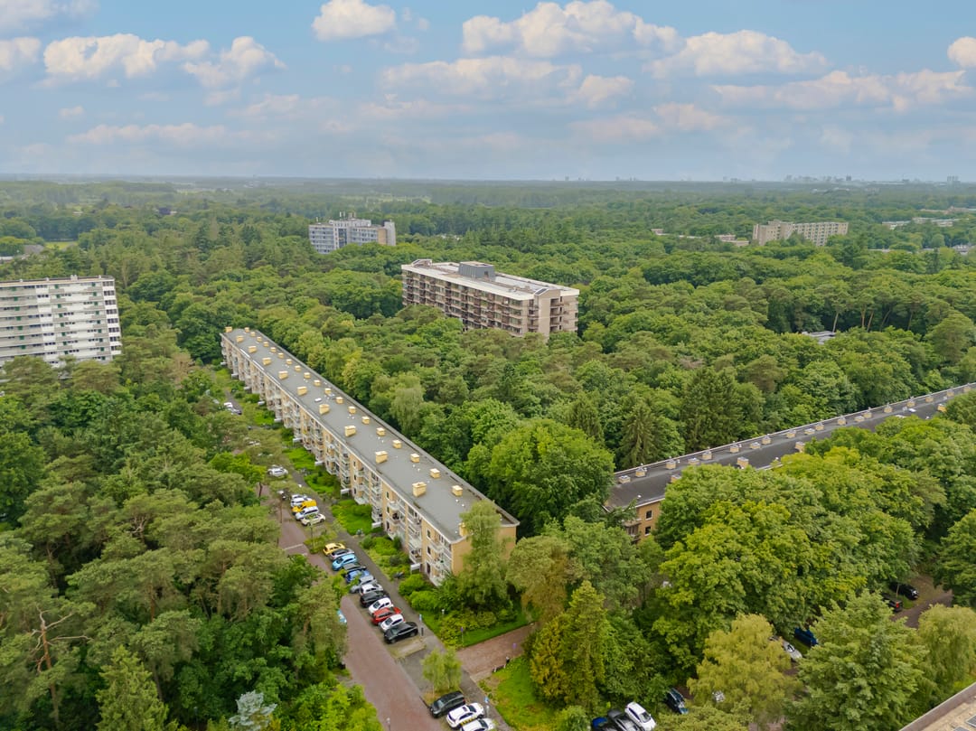 Photo 28 of Sophialaan 37