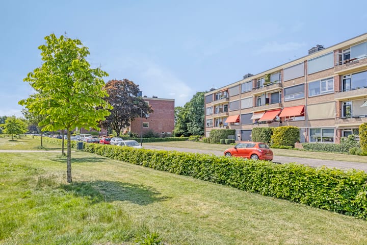 Photo 27 of Albardastraat 28