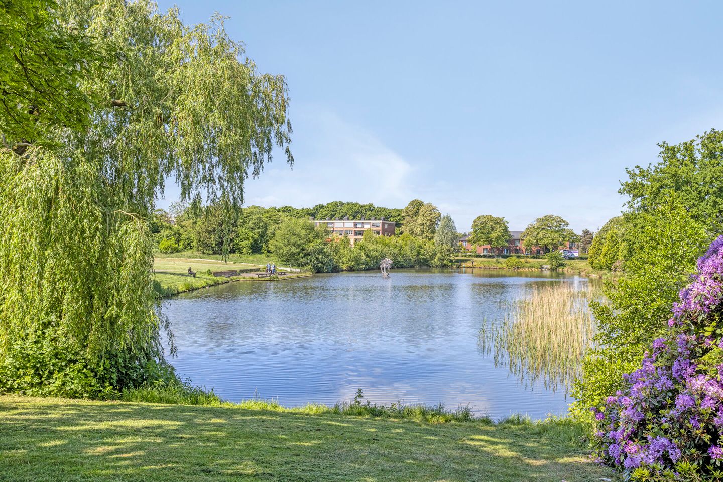 Foto 34 van Albardastraat 28