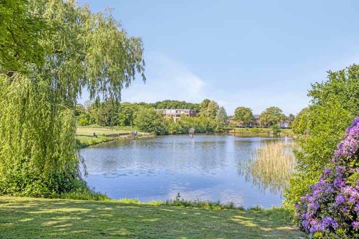 Photo 34 of Albardastraat 28