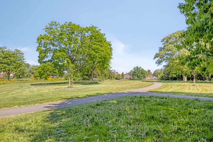 Photo 30 of Albardastraat 28