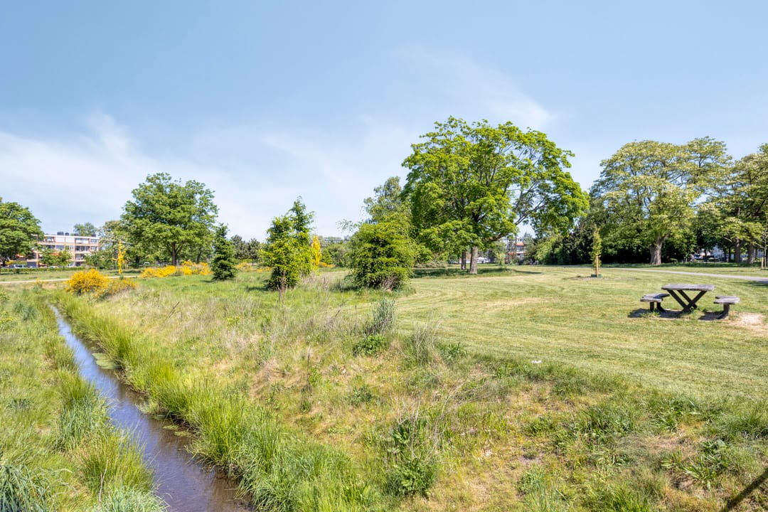 Foto 32 van Albardastraat 28