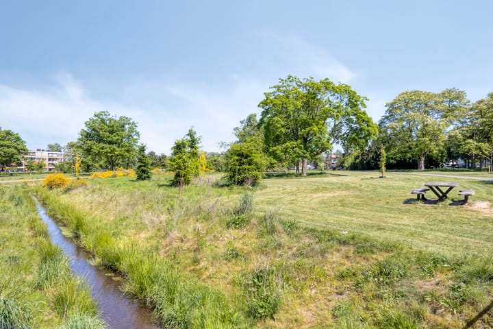 Photo 32 of Albardastraat 28