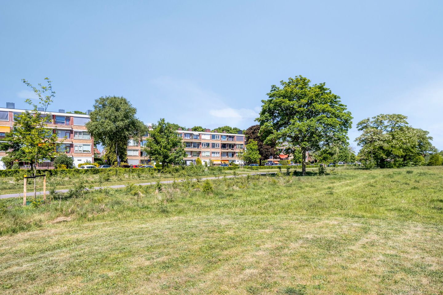 Foto 29 van Albardastraat 28