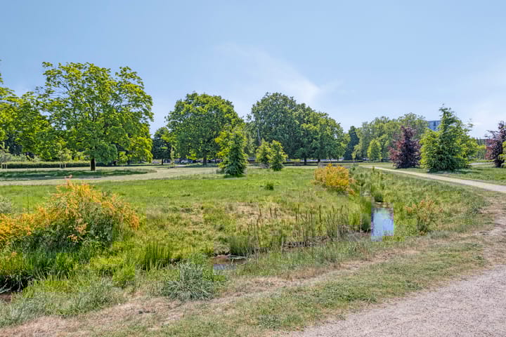 Photo 33 of Albardastraat 28