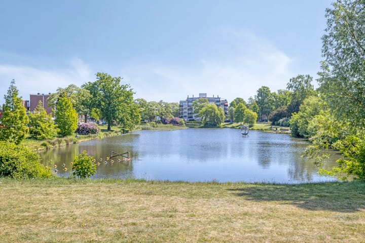 Photo 35 of Albardastraat 28