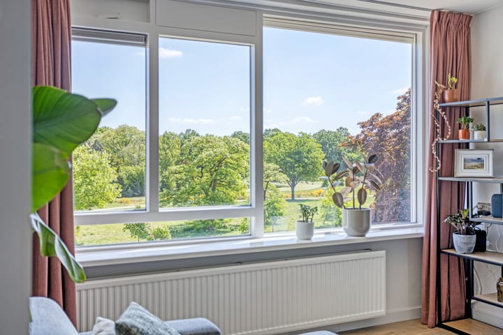 Photo 16 of Albardastraat 28