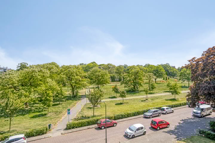 Photo 19 of Albardastraat 28