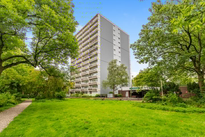 Photo 1 of De Roerdomp 157