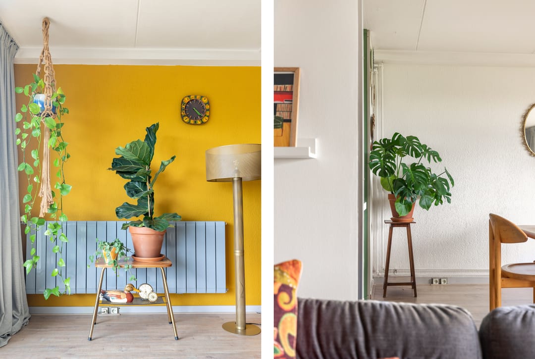 Foto 8 van De Roerdomp 157