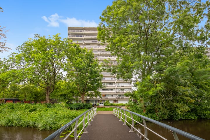 Photo 36 of De Roerdomp 157