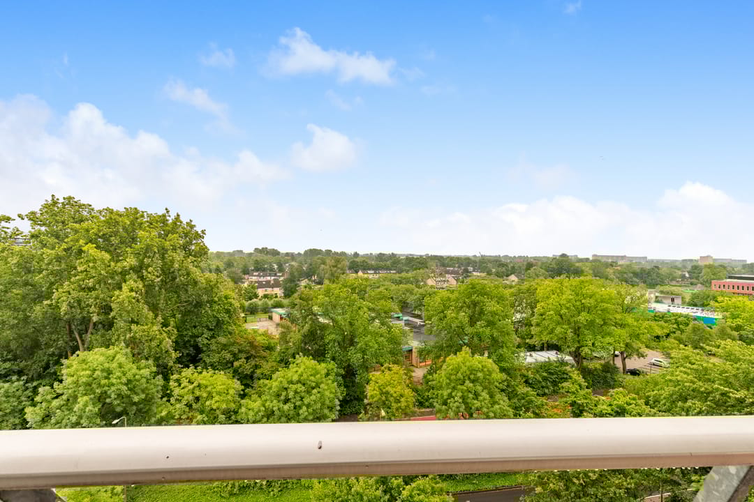 Foto 37 van De Roerdomp 157