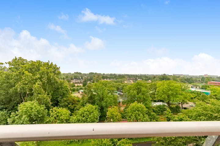 Photo 37 of De Roerdomp 157