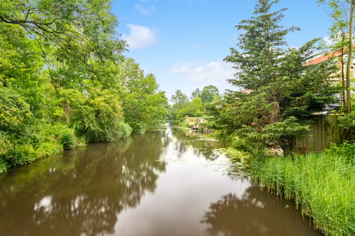 Photo 38 of De Roerdomp 157