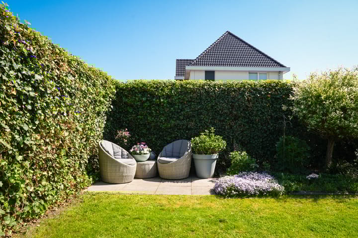 Foto 43 van Pinksterbloemstraat 1