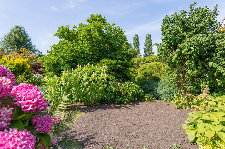 Foto 8 van Den Ham 13