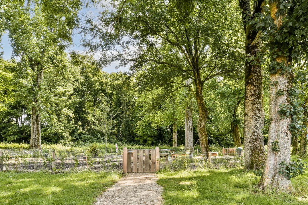 Foto 26 van Poolsterstraat 20