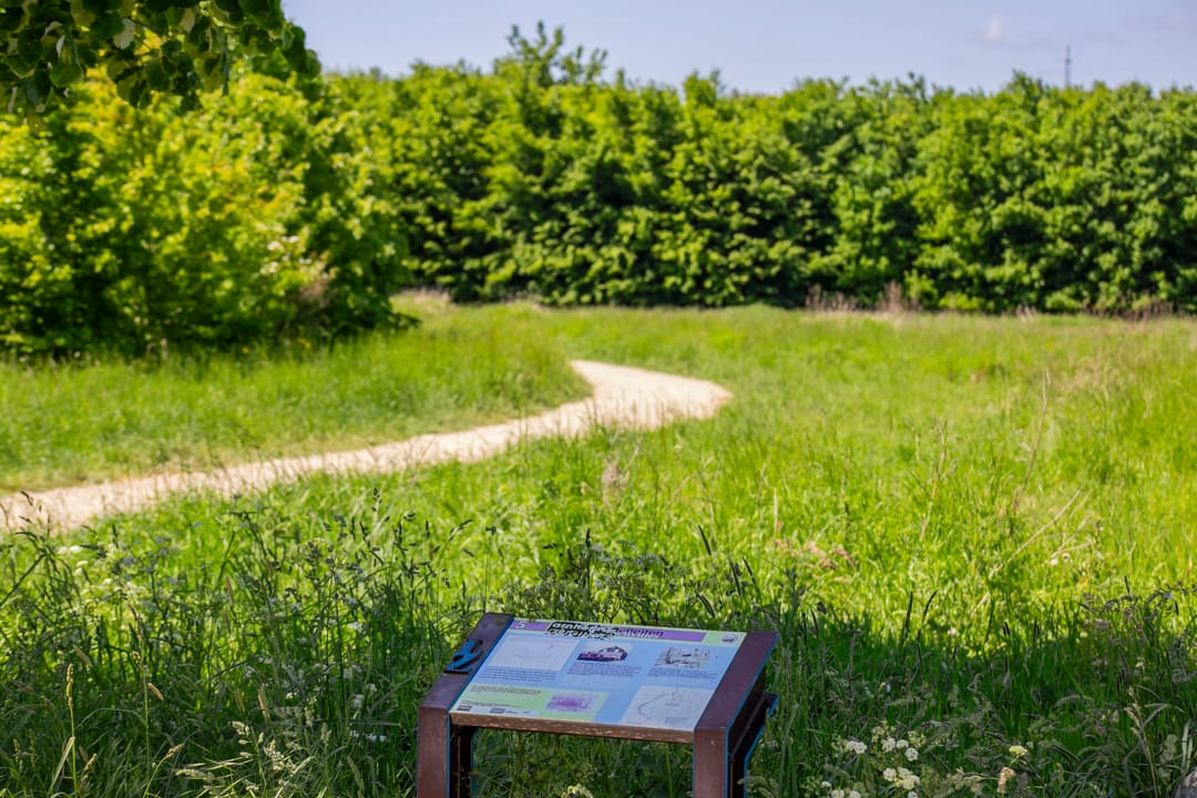 Foto 38 van Centuriostraat 7