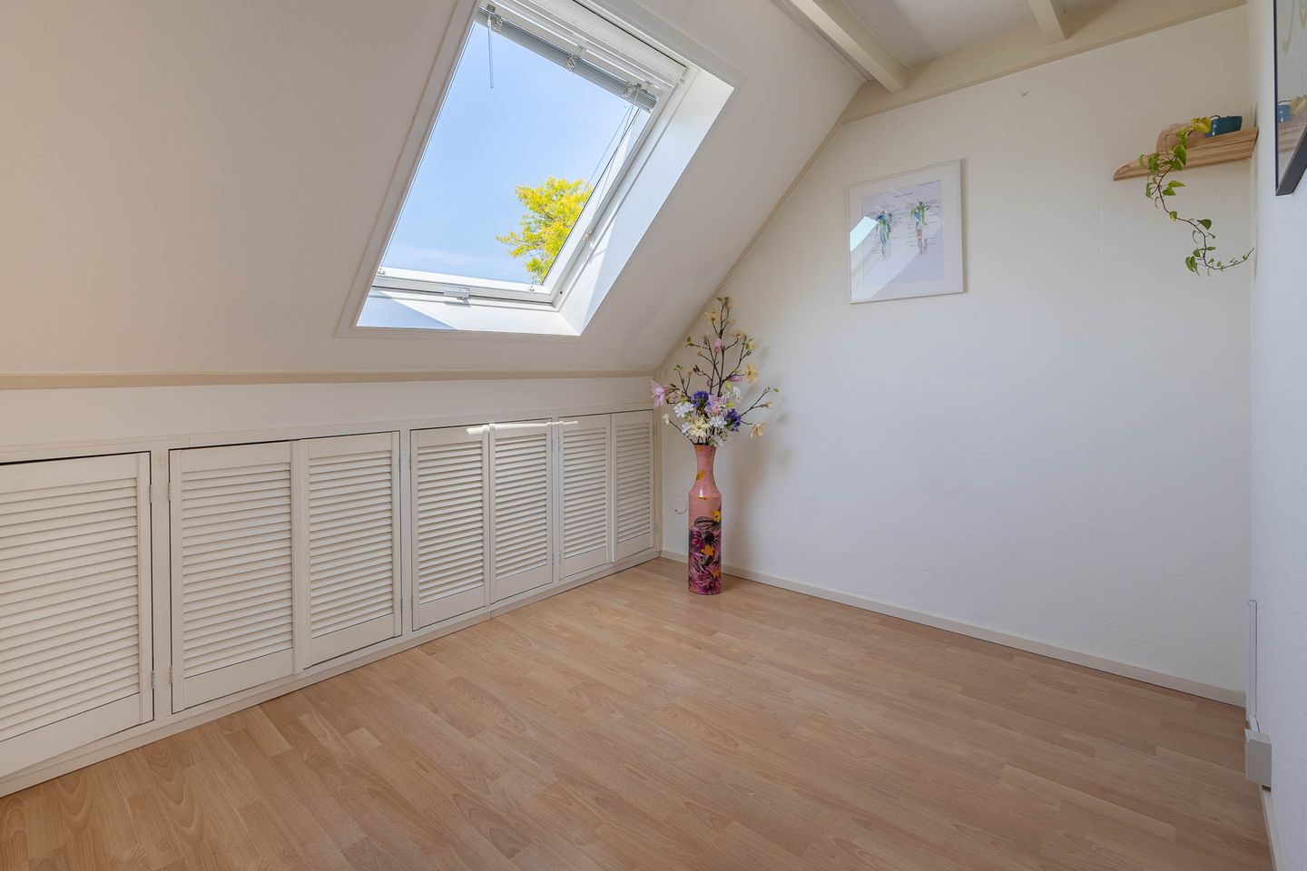 Foto 19 van Oliemolen 3