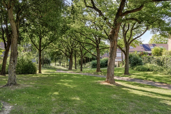 Foto 25 van Ammonieterf 2