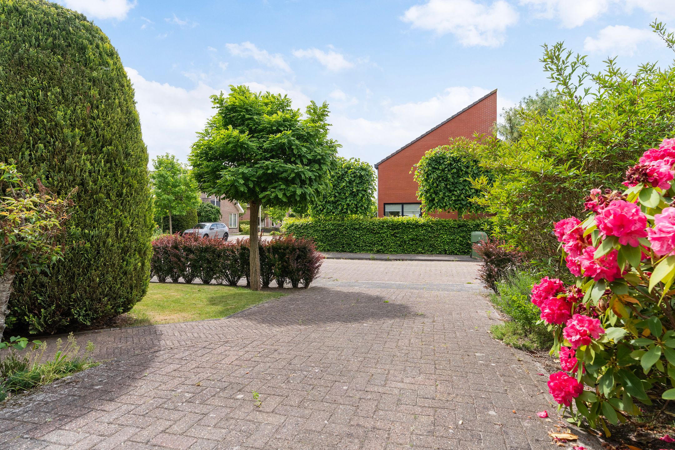 Foto 12 van Reade Poarte 31