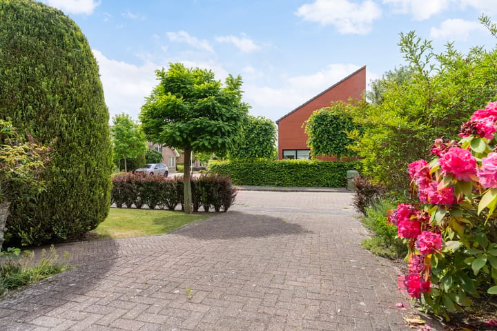 Foto 12 van Reade Poarte 31