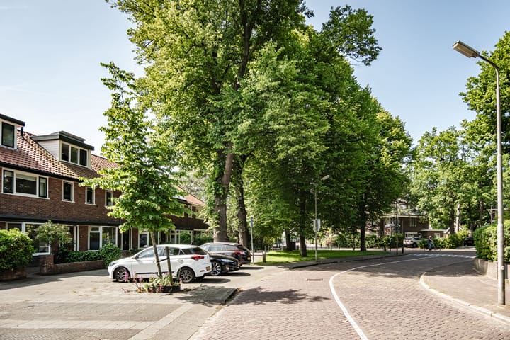 Foto 41 van Wüstelaan 46