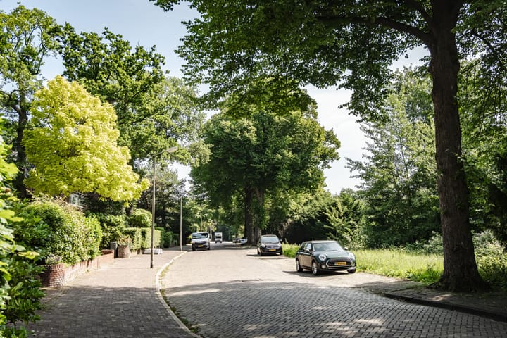 Foto 42 van Wüstelaan 46