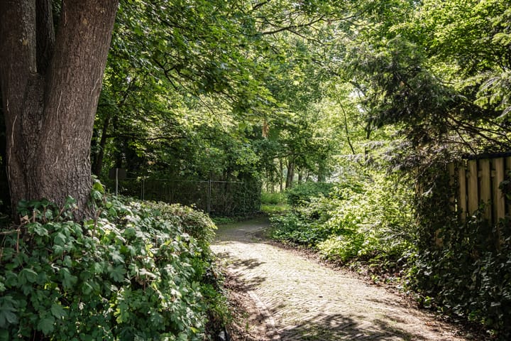 Foto 43 van Wüstelaan 46