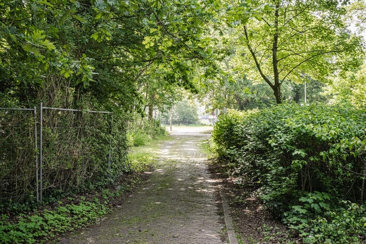 Foto 44 van Wüstelaan 46