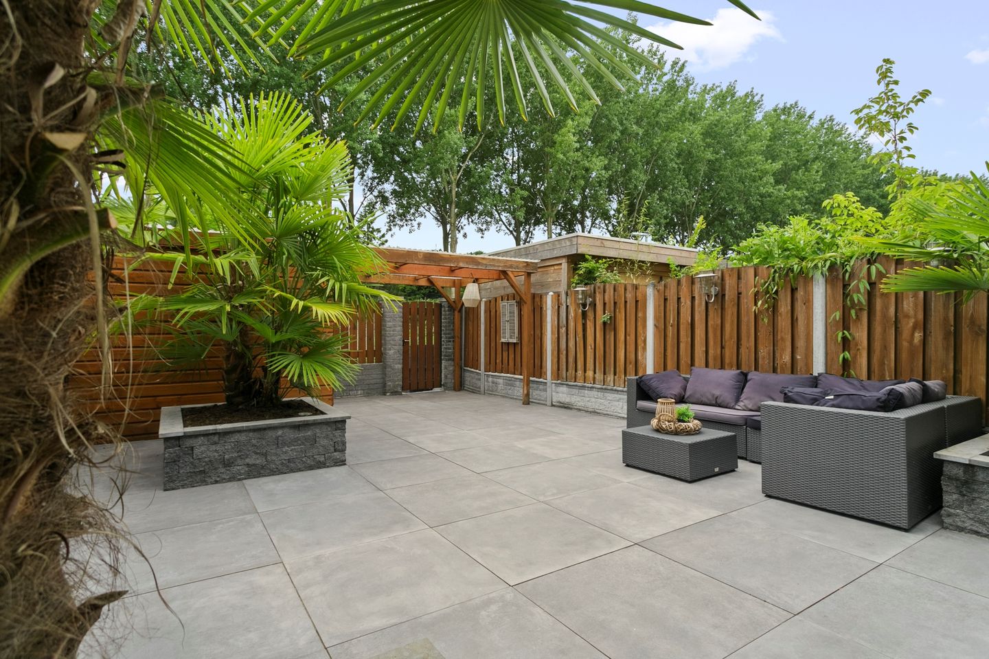 Photo 4 of Palissander 216