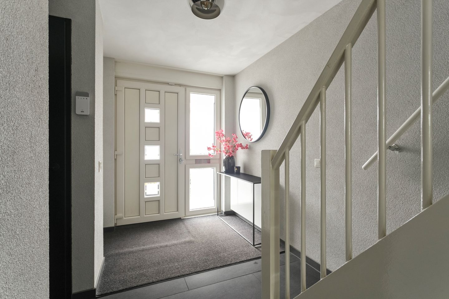 Photo 5 of Palissander 216