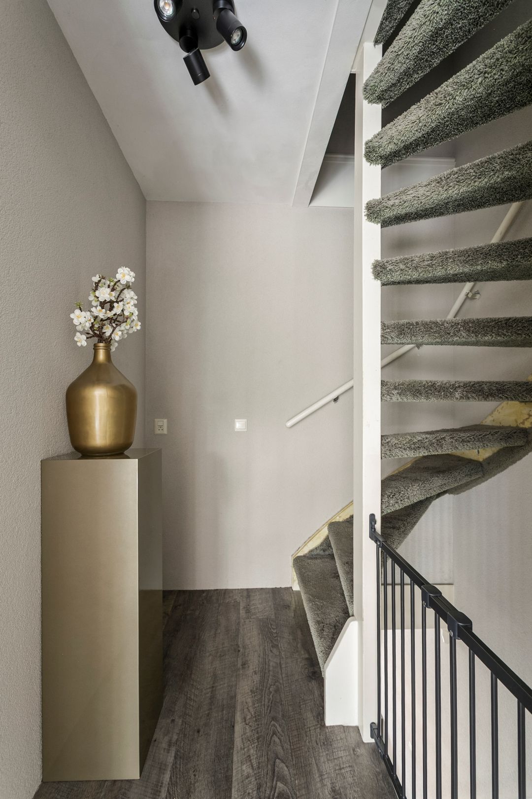 Photo 32 of Palissander 216