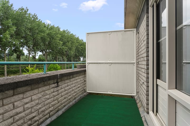 Foto 45 van Palissander 216