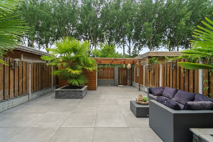 Foto 52 van Palissander 216