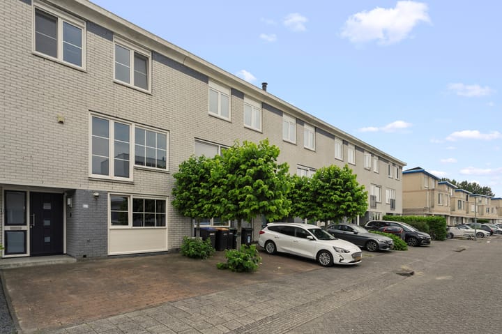 Foto 56 van Palissander 216