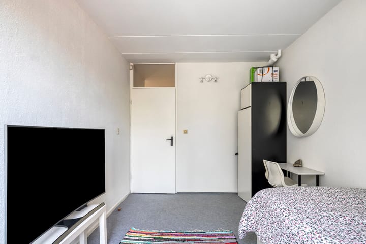 Foto 19 van Pallieterburg 8