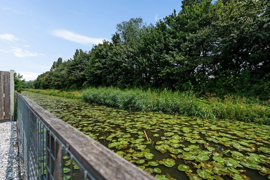 Foto 22 van Dagpauwooglaan 76