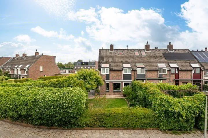 Foto 48 van Mannagras 49