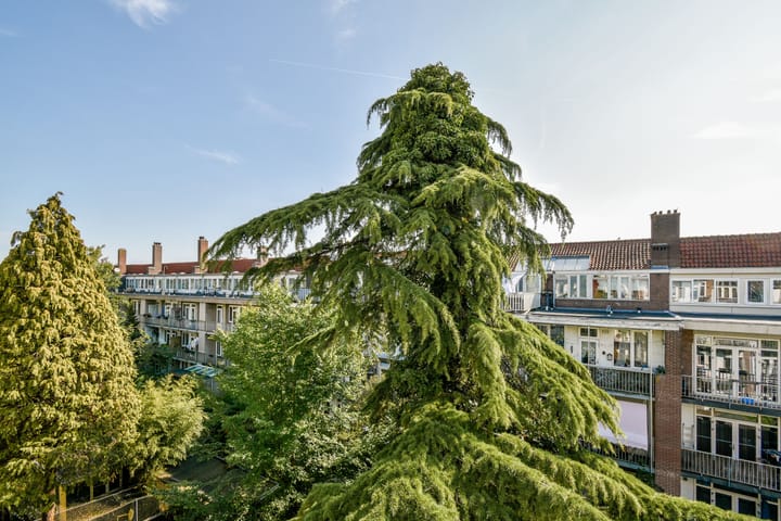 Foto 12 van Orteliuskade 9-3