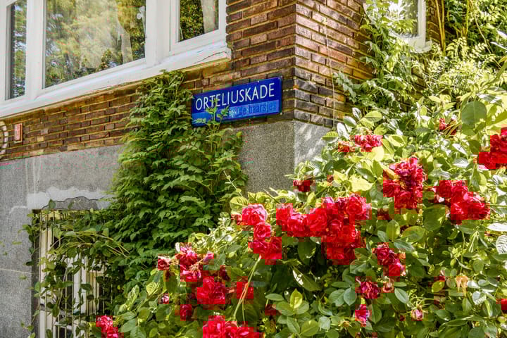 Foto 20 van Orteliuskade 9-3