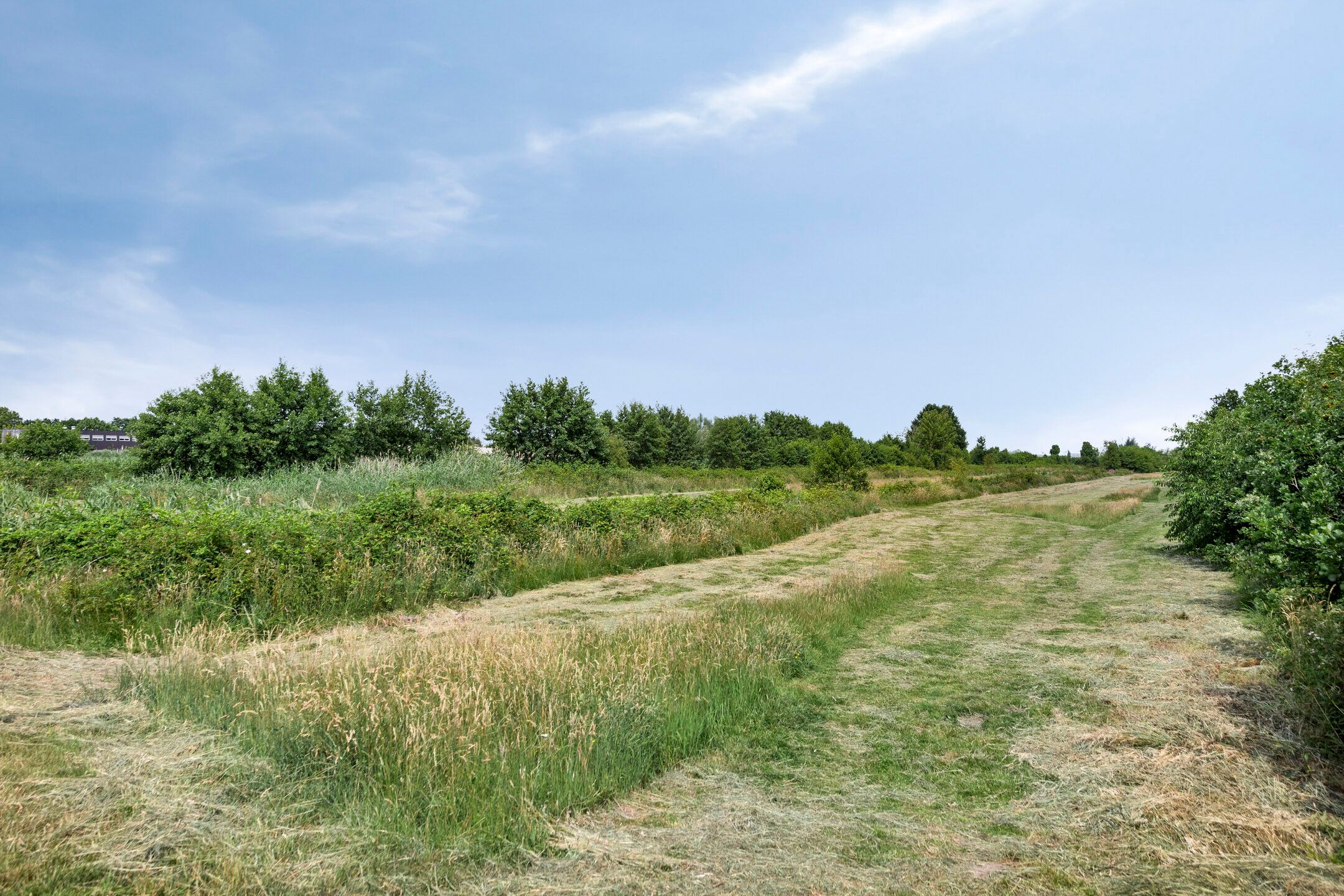 Photo 27 of Villa Waterranonkel 59