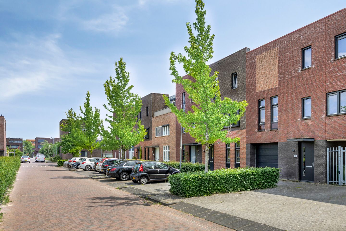 Photo 29 of Villa Waterranonkel 59