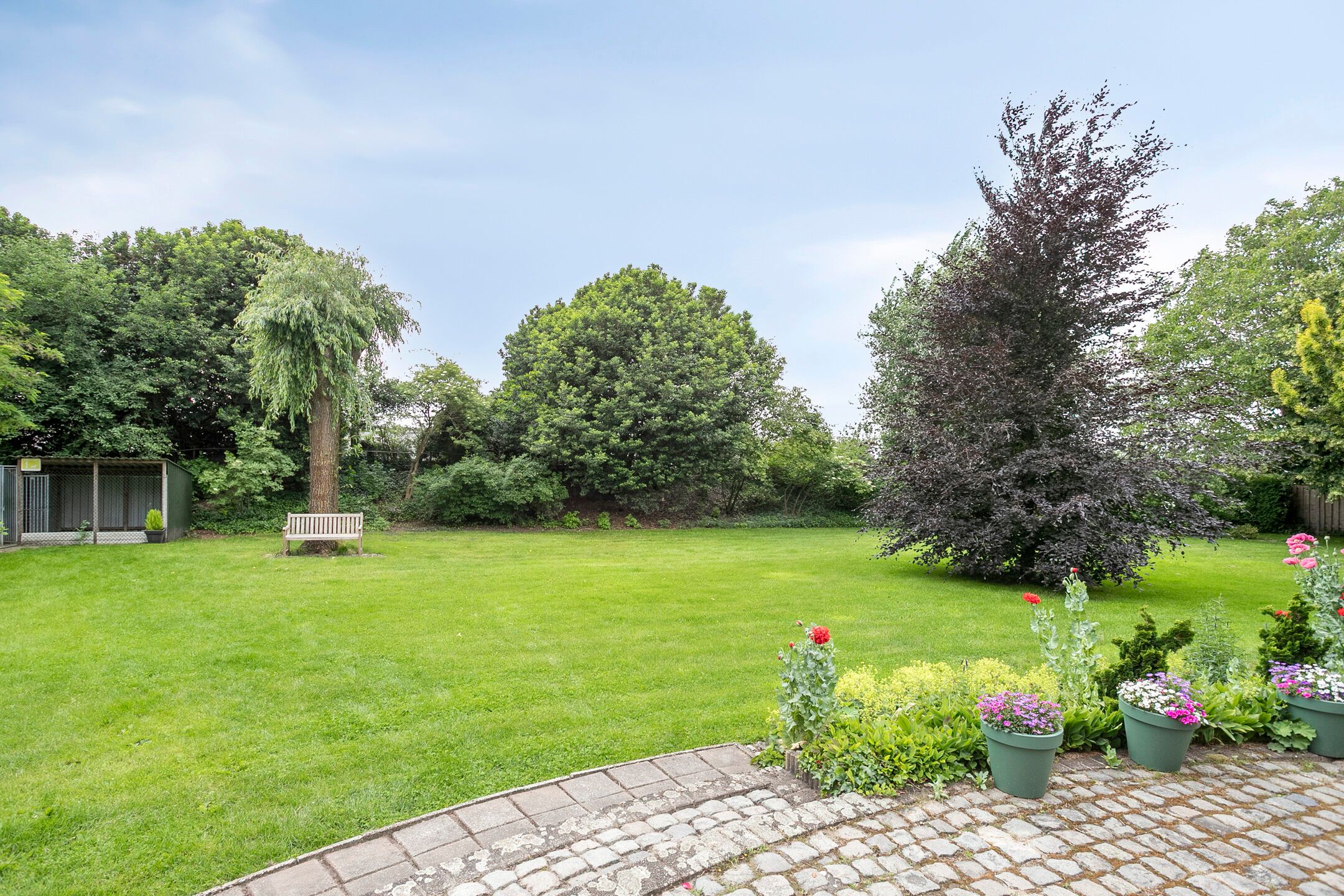 Foto 21 van Venrayseweg 115